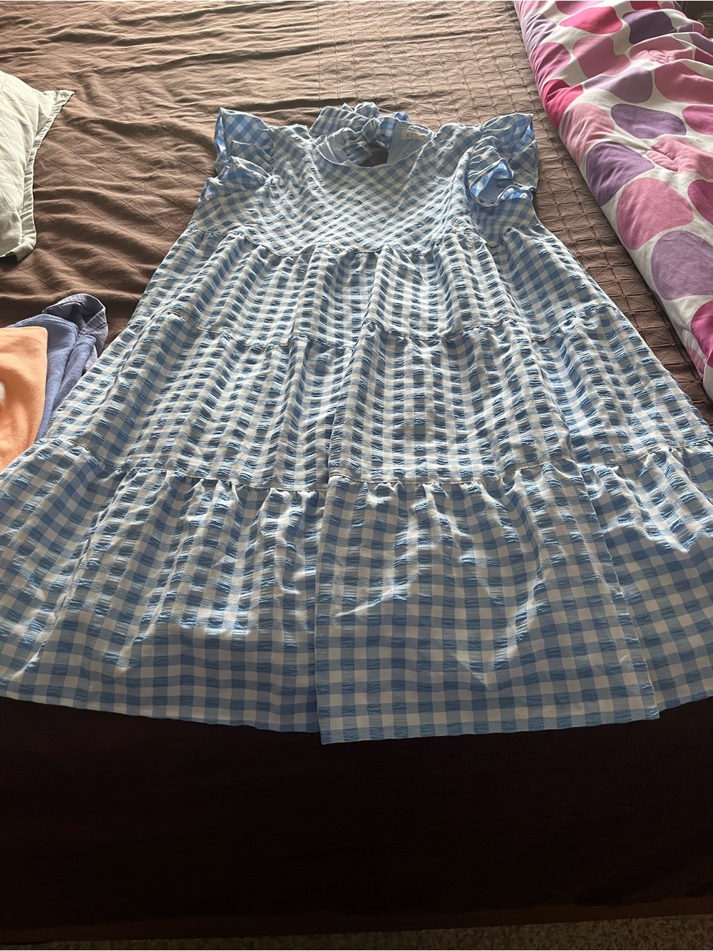 Blue Gingham Ruffle Sleeve Dress